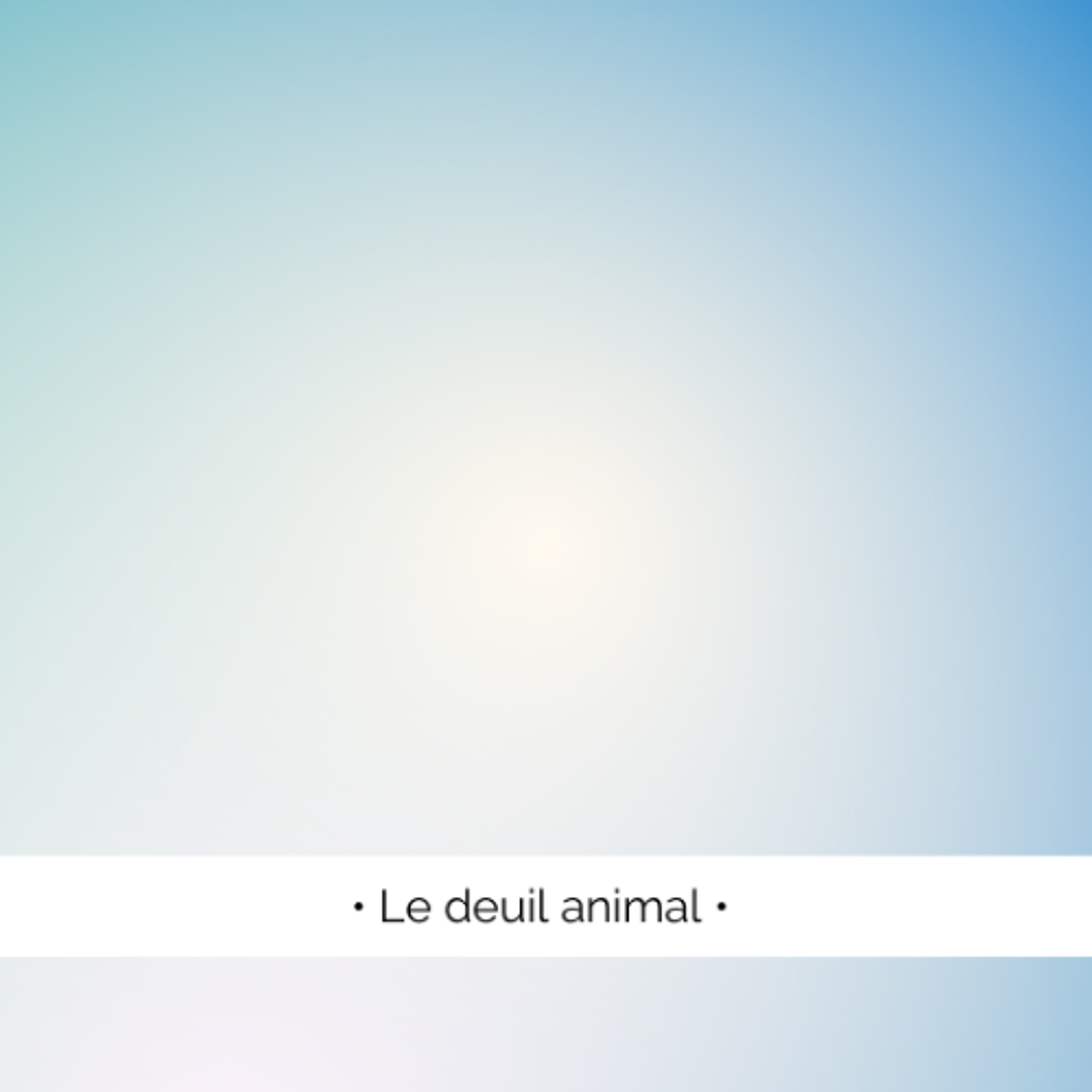 ✨ Le deuil animal, comment le surmonter ?