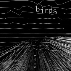 PREMIERE | Birds - Time (Gegen Mann Remix) [Nein] 2021