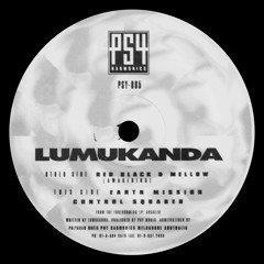 Dance Ov Thee Pink Elephants (Friendly Floor Mix)