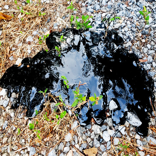 Hungry Bodies - Log Chore