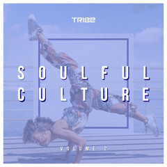 PREMIERE: Patrice Scott - The Detroit Upright [Tribe Records]