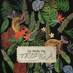 Tropica [feat. Yep]