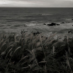 𝙙𝙚𝙚𝙥 - 𝙨𝙪𝙢𝙢𝙚𝙧 𝙬𝙖𝙡𝙠𝙚𝙧 (𝙨𝙥𝙚𝙙 𝙪𝙥)