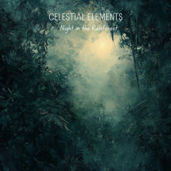 Night in the Rainforest