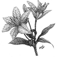 Just Like You (fuck you pat this song will never die)