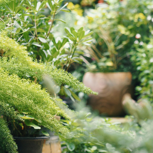 To the Lord We're as a Garden (#1156)