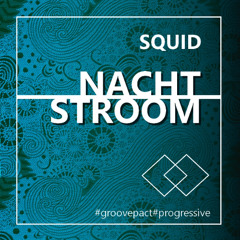 Nachtstroom 21.01.2025