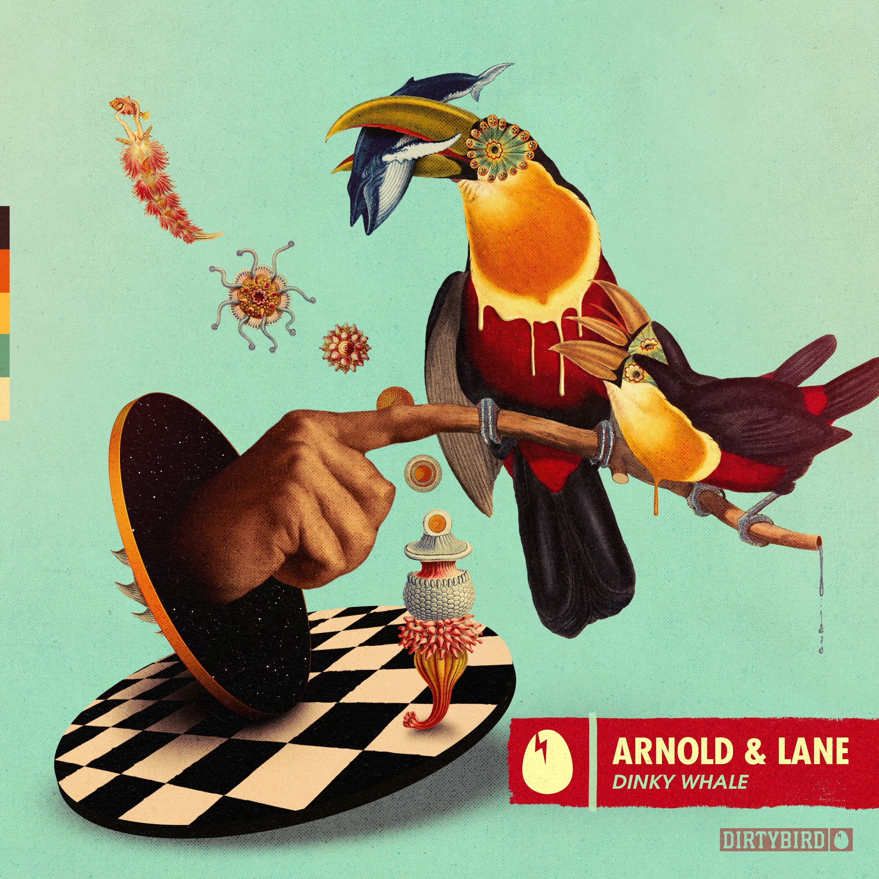 DIRTYBIRD