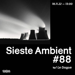 Sieste Ambient #88 w/ Le Dogue