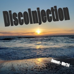 DiscoInjection - Sunset Mix 2024