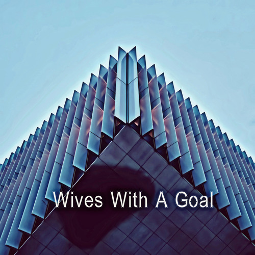 Wives With A Goal