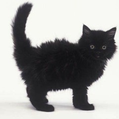 Black Betty Symphonic Metal