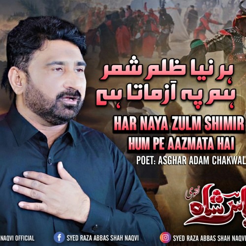Har Naya Zulm Shimir Hum Pe Azmata Hai Syed Raza Abbas Shah | Urdu Noha 2021