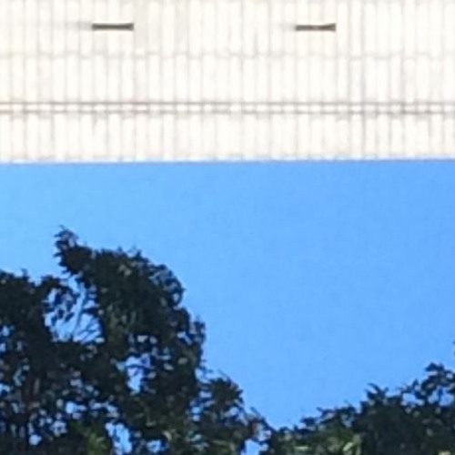 Keep Trying Freestyle (prod. LCS)