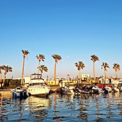 فينك يا مشواري