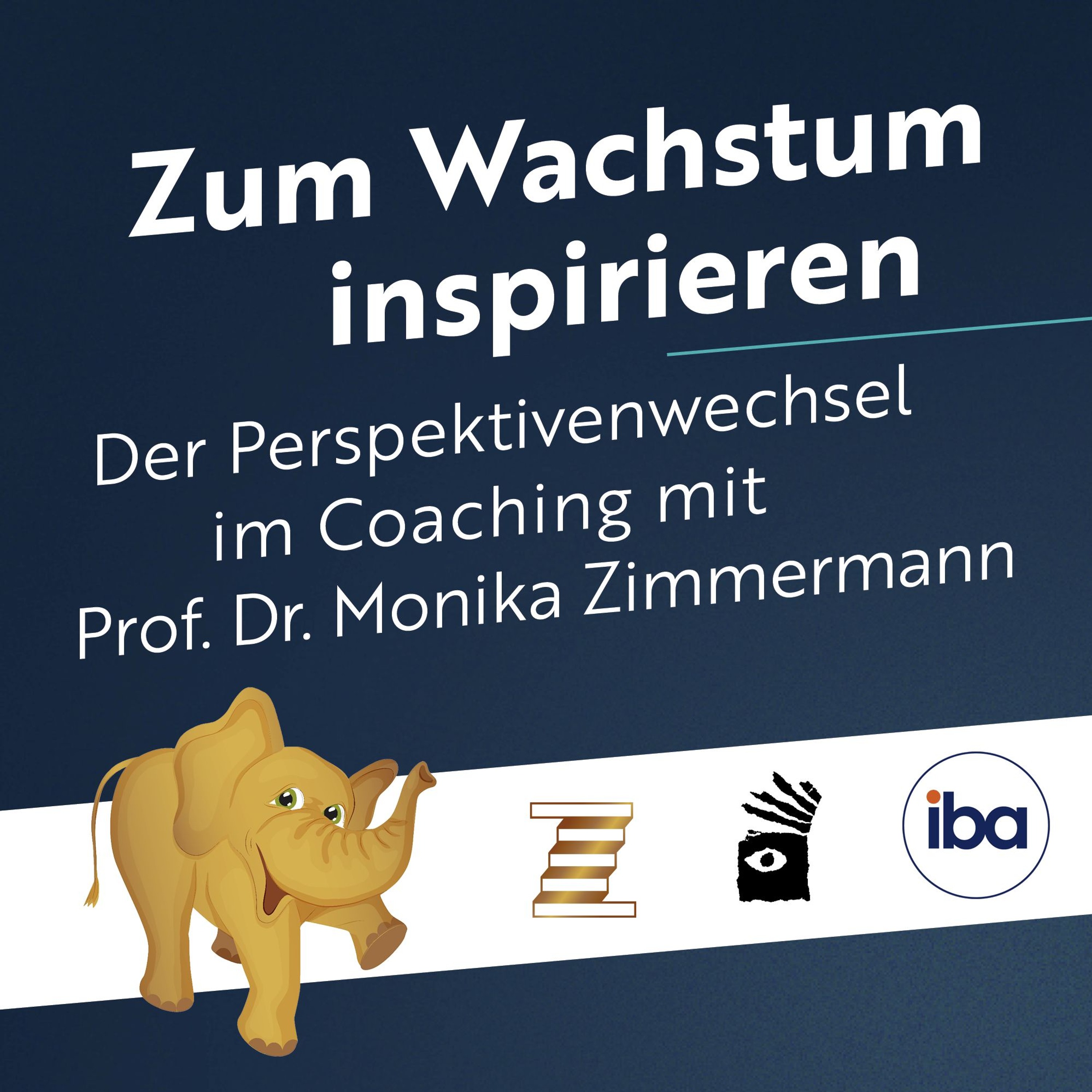 S2 F1 Daniela Blickhan – Professionelle Kontexte der Beratung - oder: Der durchlässige Gartenzaun episode artwork