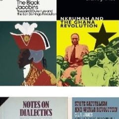 AfricaNow! Jul. 3, 2024 Thinking Through CLR James with Matthew Quest Pt. I