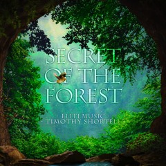 Timothy Shortell And EliteMusic - Secret Of The Forest