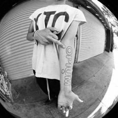 whatthefuck prod gaupo6x