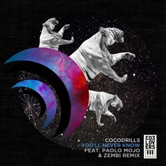 You'll Never Know (Paolo Mojo & Zenbi Remix)