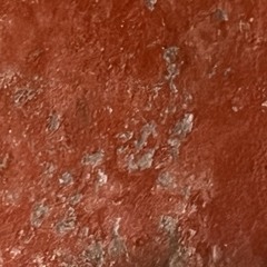 TRACTOR.mp3     @AlexWeiss