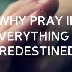 11 - Is Everything Predestined ?