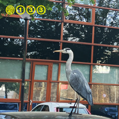 133-A / Morris b2b Freitas De Torres / 29.05.25