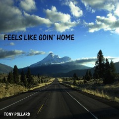 Feels Like Goin' Home