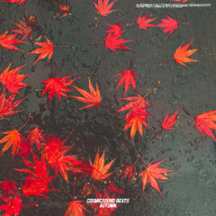 Piano Type Beat - "Autumn", Pop Type Beat, Rap Type Beat, Trap Type Beat, Hip Hop Type Beat, Rnb Type Beat