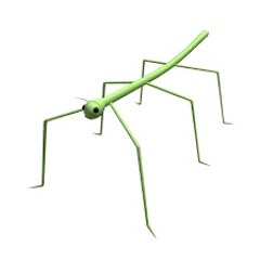 stickbug (cover)