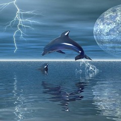 [BONUS] lil logey DOLPHINO STAR raymix