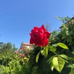 Avec Toi