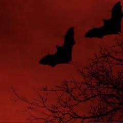 nf feat sasha sloan  only (slowed down)