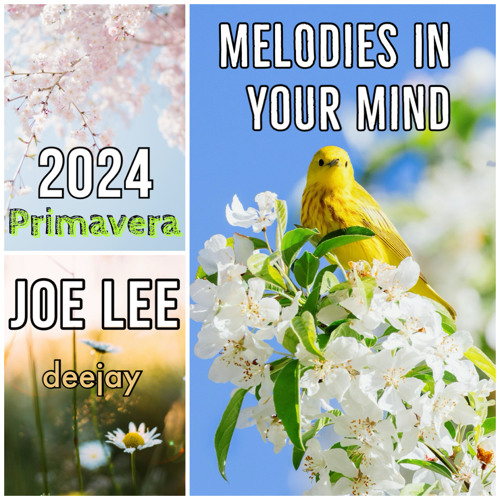 JOE LEE | Melodies In Your Mind (Primavera 2024)