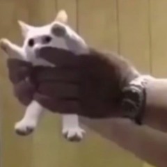 70k Plays - ProdGolden (Slowed)