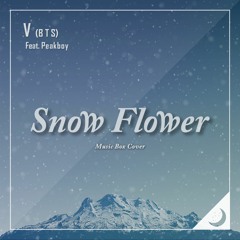 V (BTS) - Snow Flower Music Box Cover (오르골 커버)