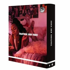 Trapsoul RnB Vibes - Preview