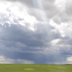 Ambient Revolver No Resolve Demo 4-17-24