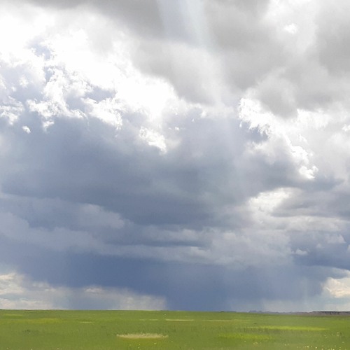 Ambient Revolver No Resolve Demo 4-17-24