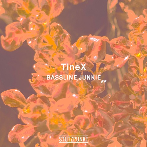 TineX - Bassline Junkie