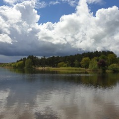 Frensham tales