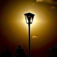 On a Night Trip with Freak T. - Monokultur.mp3