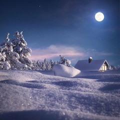 II. Moonlit Snow