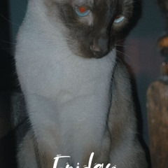 formentera drive remix