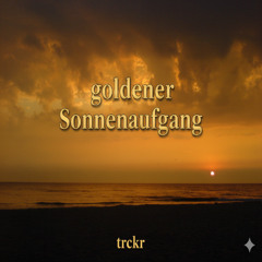 trckr - goldener Sonnenaufgang
