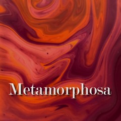 MonkeyNut - Metamorphosa (Original Mix)