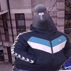 Zippo - Посыл из Амстердама