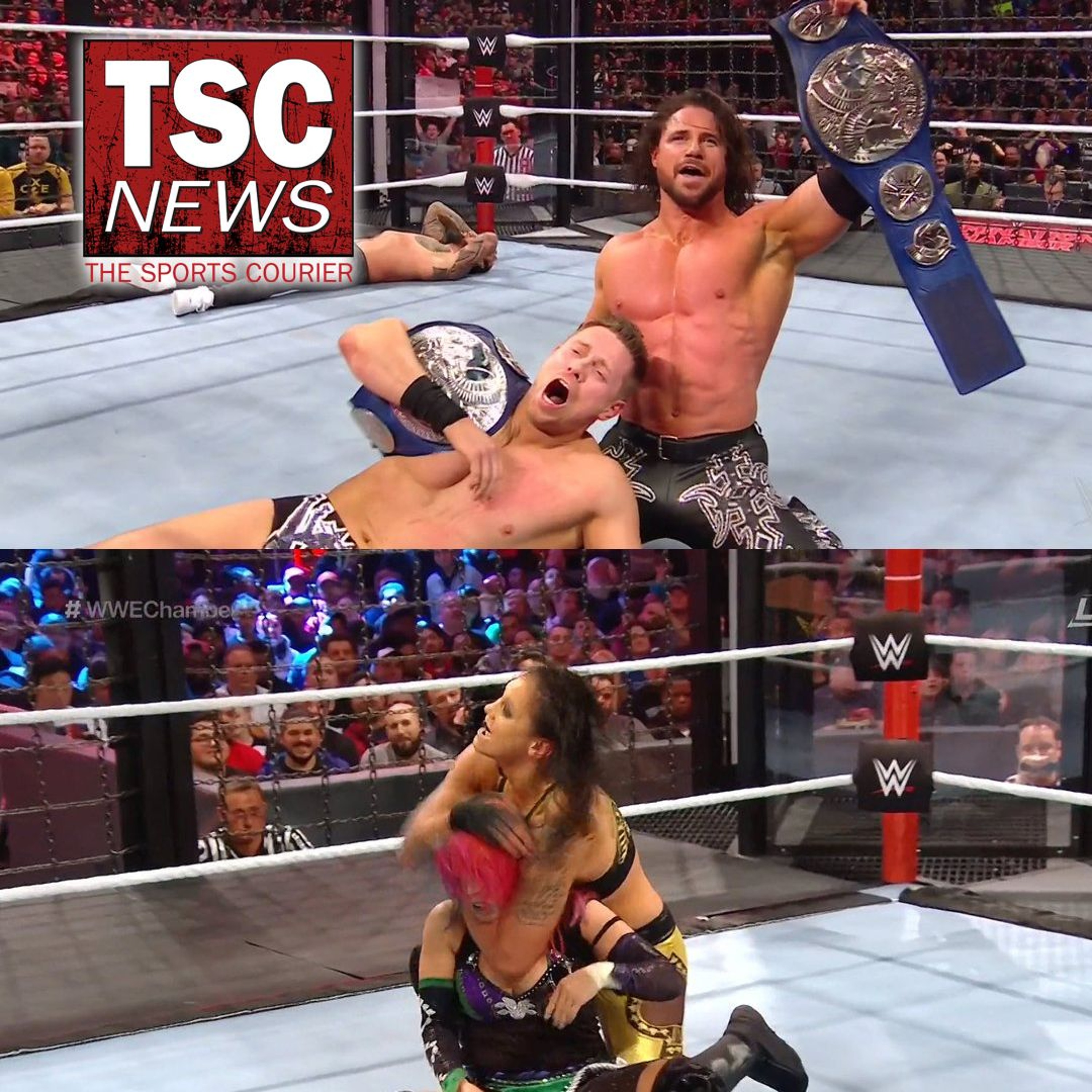 WWE Elimination Chamber 2020 Review - March 9, 2020 episode artwork