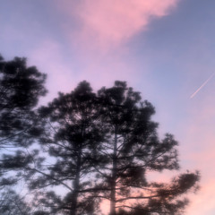 paradise sunset 1