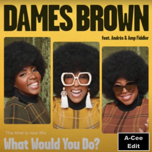 Dames Brown - What Would U Do? (The Time Is Now Mix) (A - Cee Edit - CHAP Music)